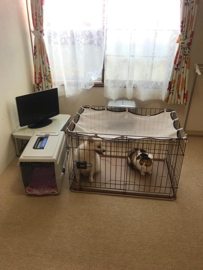 Stay Akeboshi Kan Hakodate Ngoại thất bức ảnh