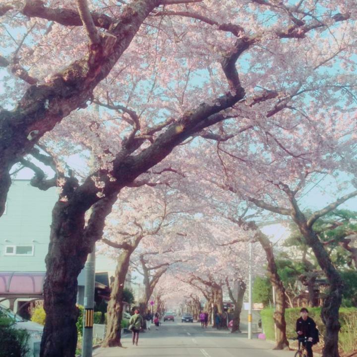 Stay Akeboshi Kan Hakodate Ngoại thất bức ảnh